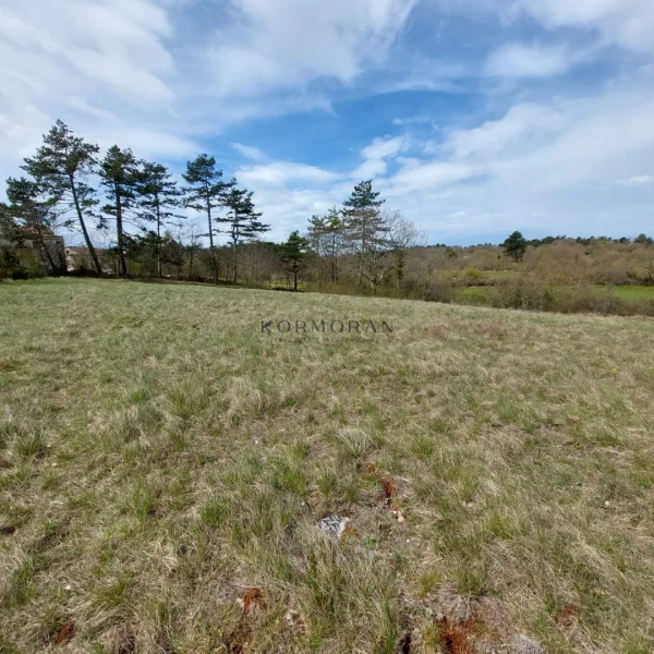 Land near Grožnjan