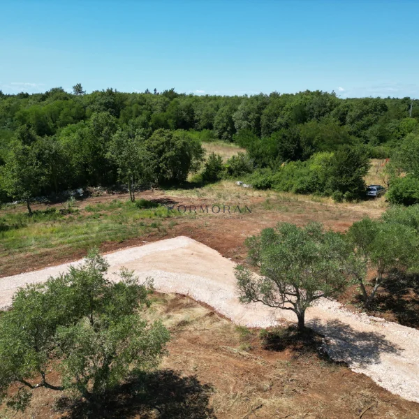 Stavbno zemljišče Brtonigla