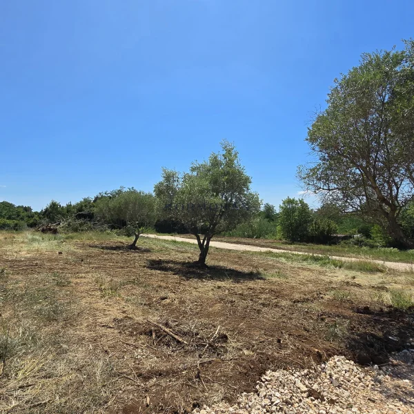 Stavbno zemljišče Brtonigla