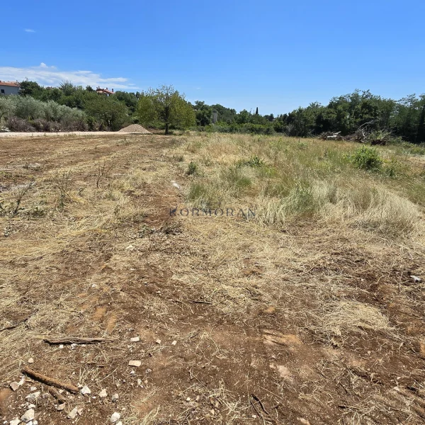 Building land Brtonigla