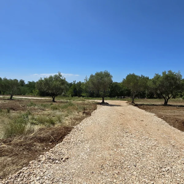 Building land Brtonigla