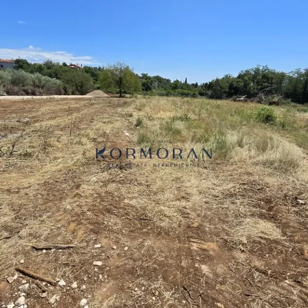Building land Umag
